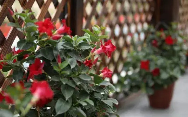 Shanghai Liyuan Jiashe Boutique Homestay