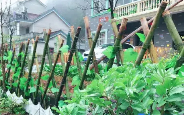Ningguo Bamboo Sea Gushi Farm Stay