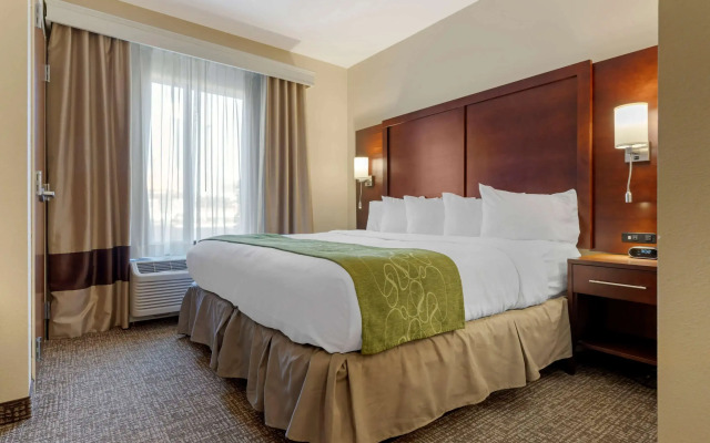 Comfort Suites Piedmont - Greenville South