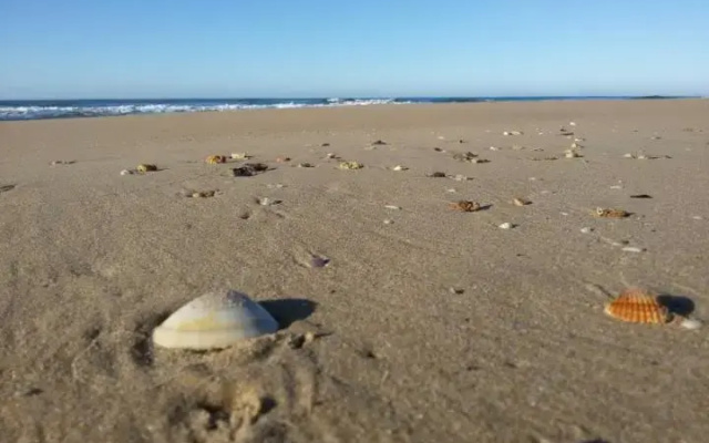 a Pozzallo vicino al mare