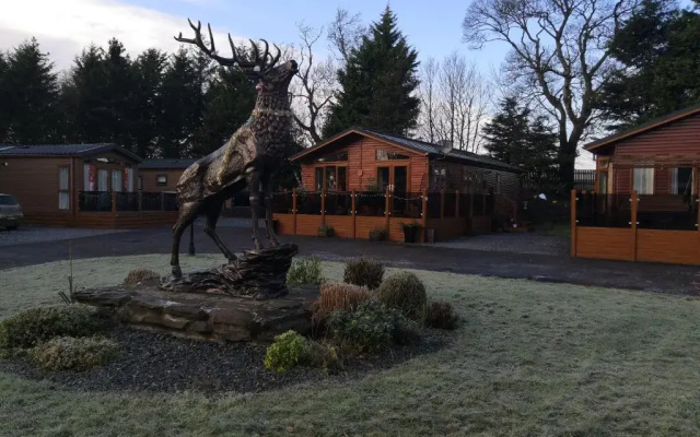11 Burnside Lodge
