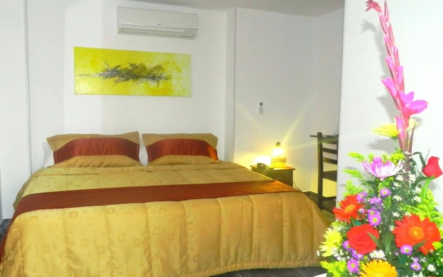 Hotel 36 View Cabecera