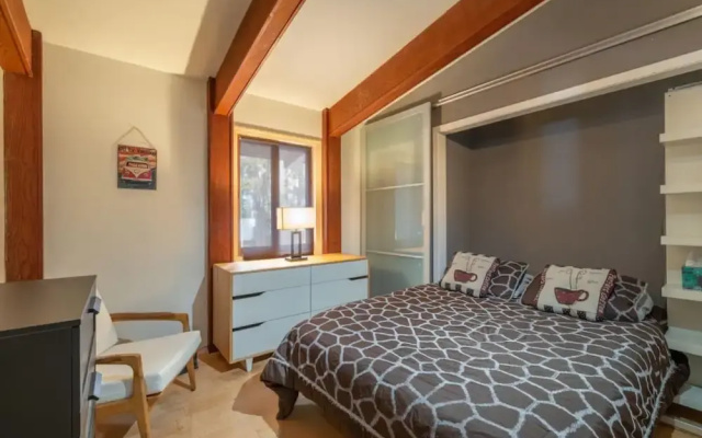Truckee Contemporary Oasis