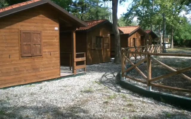 Camping Aviglianalacs