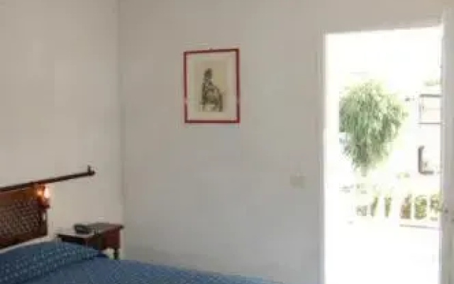 Отель Conti