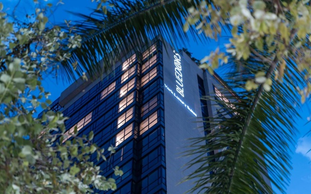 York Medellin, Curio Collection by Hilton