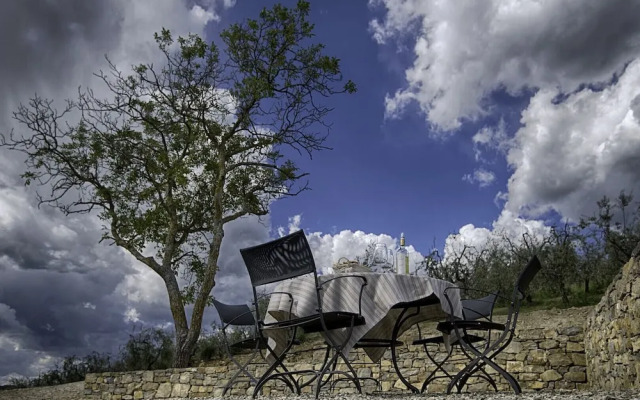 Luxury Chianti Between Grapes in Panzano Chianti