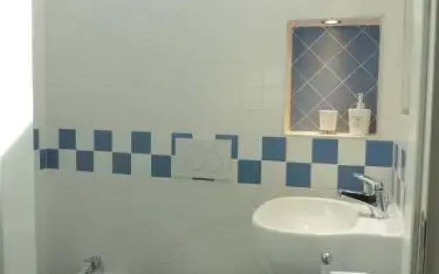 Icnussa
