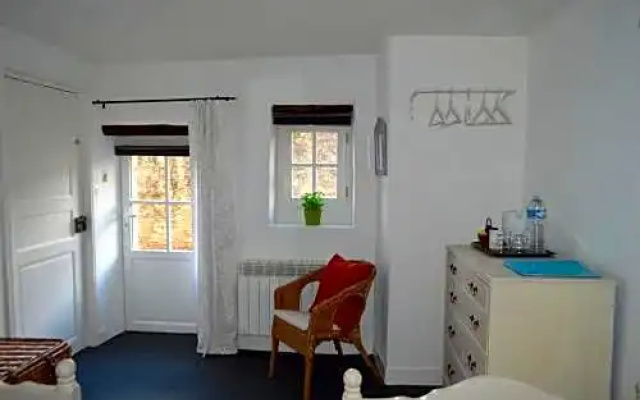 N°11