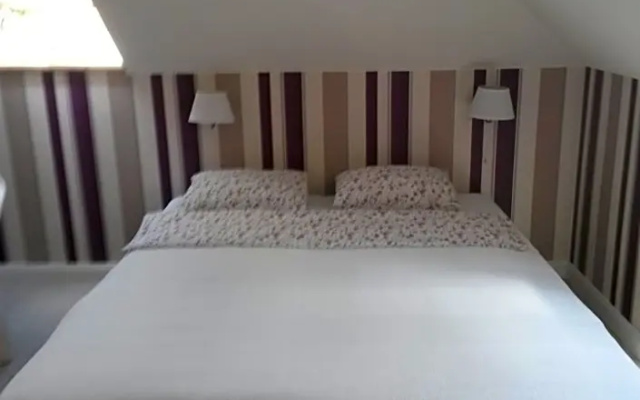 B&B Kamelia