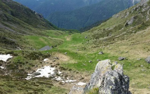 il bosco in casa