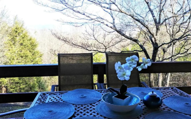 Mountain Views #578