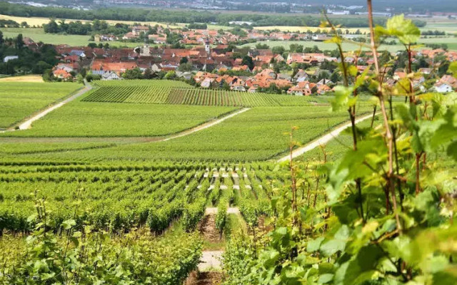 Gasthof zum Rödelseer Schwan