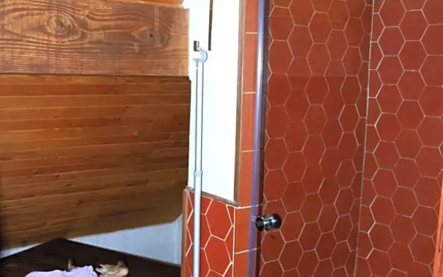 À l'ombre des 2 Figuiers