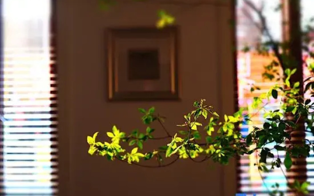 Shenzhen Jiaochangwei Yishe Boutique Homestay