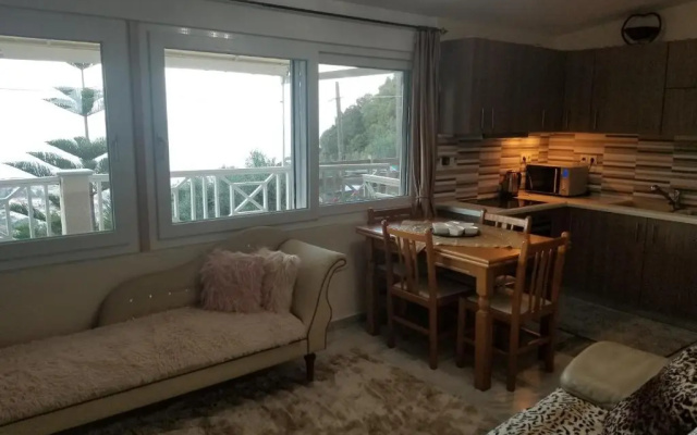 Angela Hilltop Apt 1