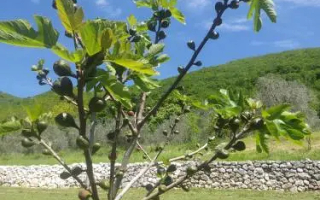 Poggio Del Sole