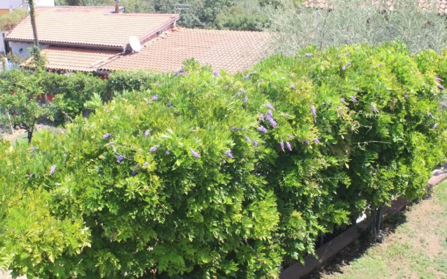 Villa Sicilia Apartment