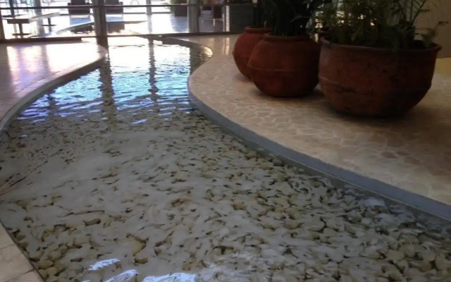 Luxury Villa in Herzeliya Pituach