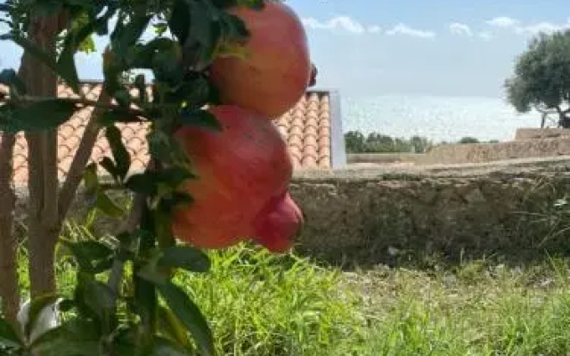 Appartamenti Al Canneto