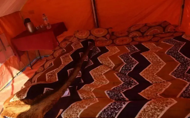 Grand Auli Camp