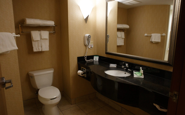 Holiday Inn Battle Creek by IHG