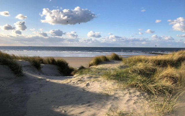 Appartement Westende - Ariane 001