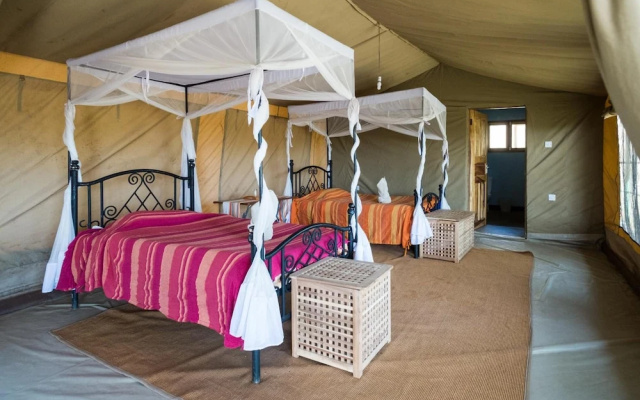 Serengeti Wildebeest Camp