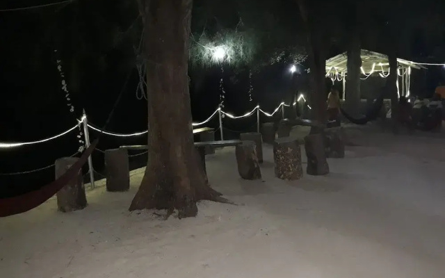 Moonlit Sands