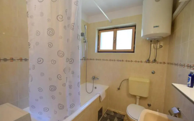 Apartment Anica
