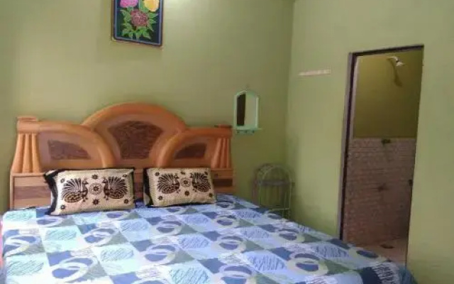 Asha Paying Guest House