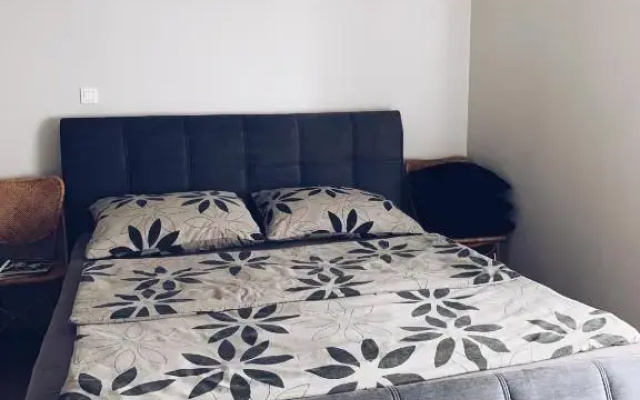 Luxury Apartment