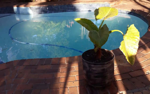 Ubuntu Guesthouse