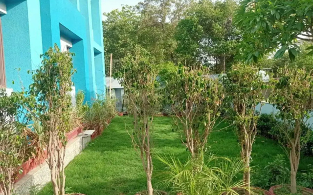 Asian Suites