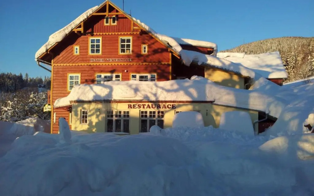 Hotel Vecernice