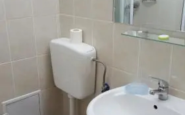 Floarea Soarelui