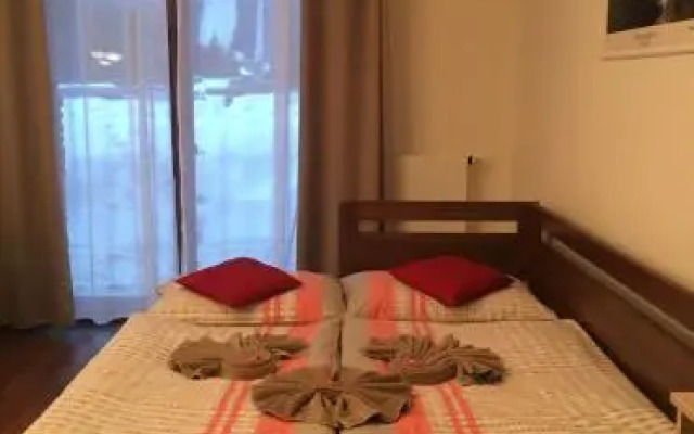 Apartment Medvědín 87