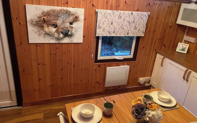 11 Tan-y-coed Woodland Lodge