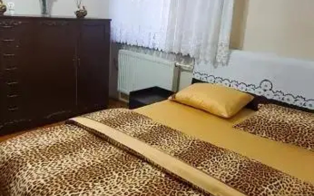 Kalkınma 5+1