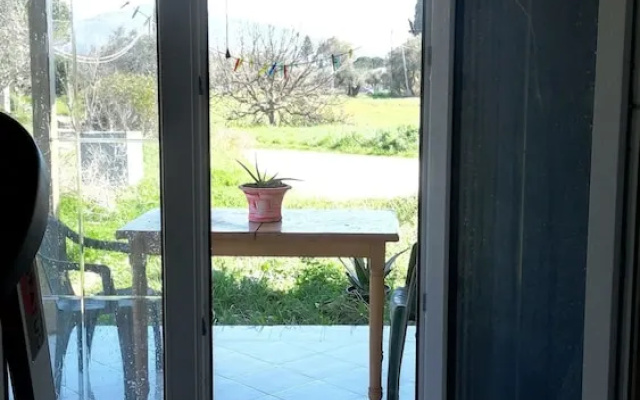 Summer Cottage