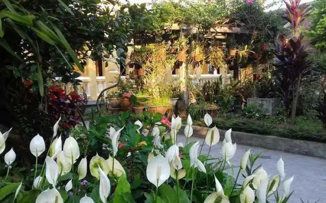 Ciel Homestay