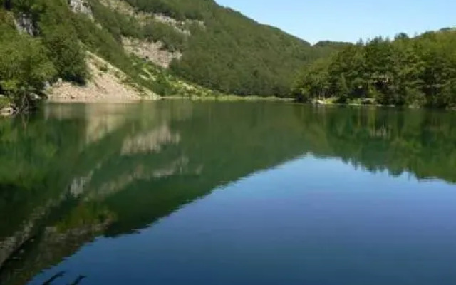 Le Antiche Orme
