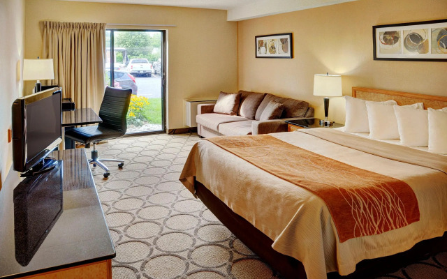Comfort Inn Hamilton