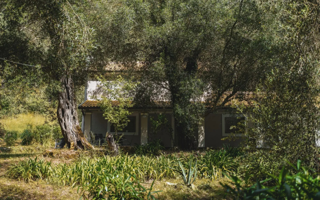 Villa Dimoulitsa