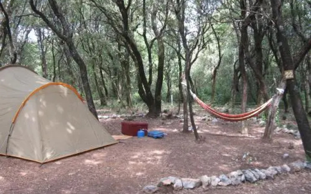 Camping Mille Étoiles