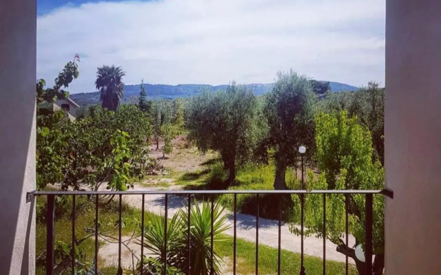 Dal Cavallaro