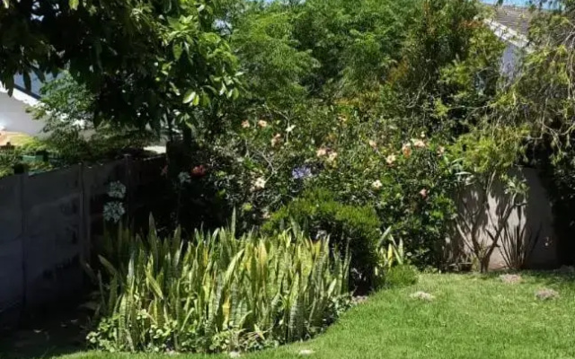 Maplan 22 Plett