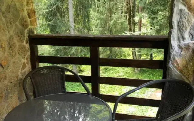 Cabana Zimbru Transfagarasan