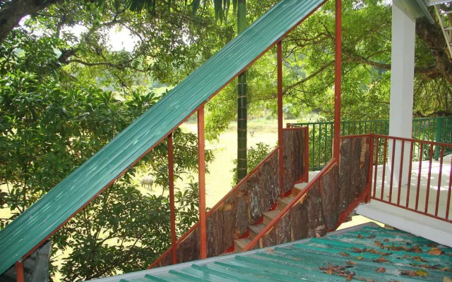 Pines Hut