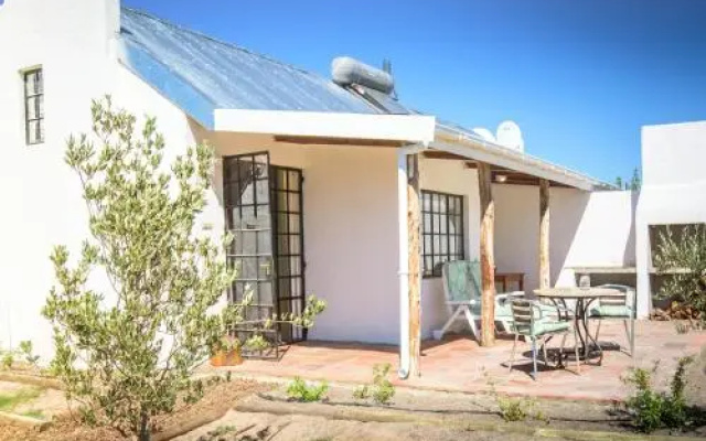 Boerfontein - Home of Olivision